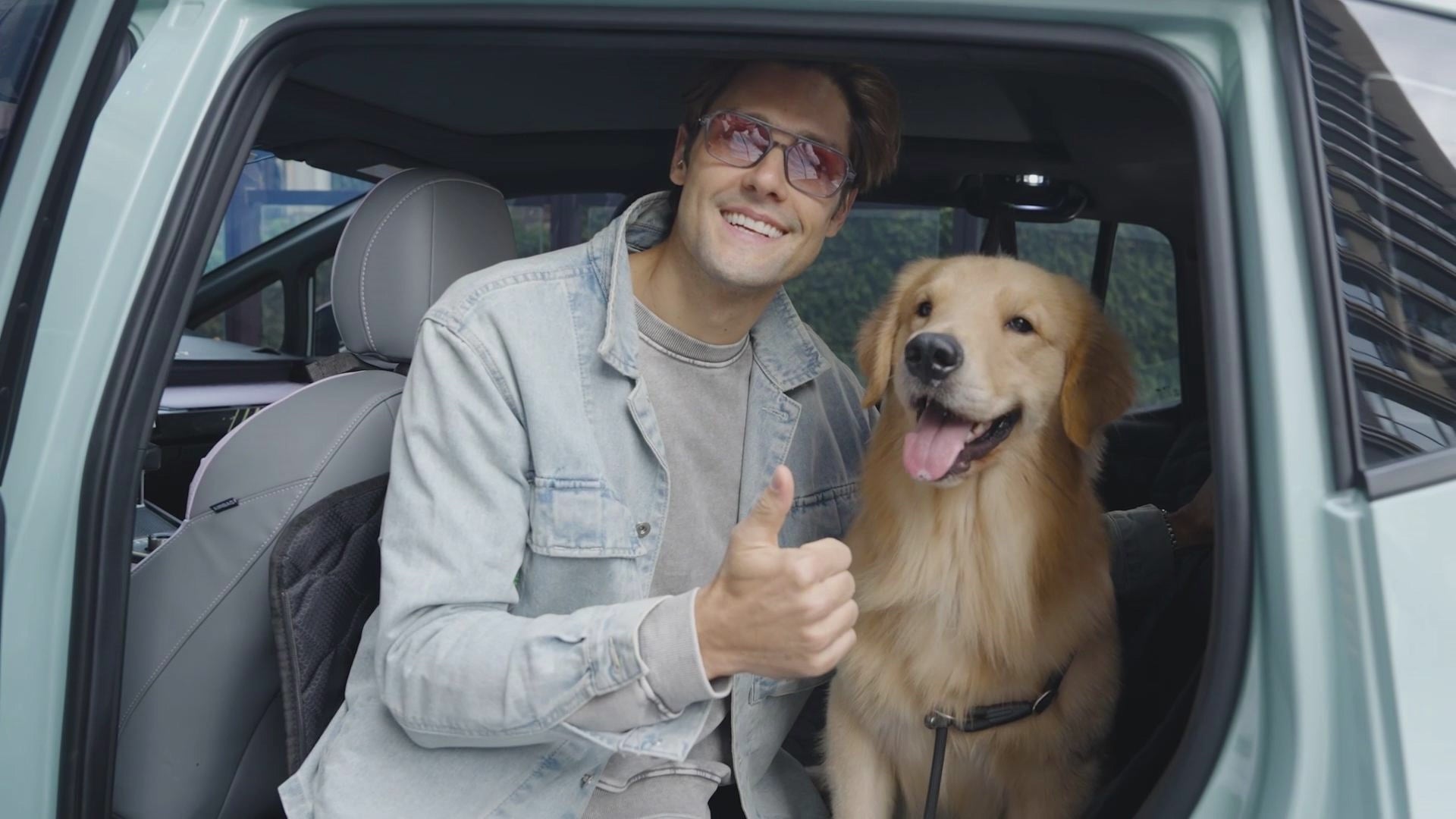 Load video: use Peticon car seat to travel with your dog